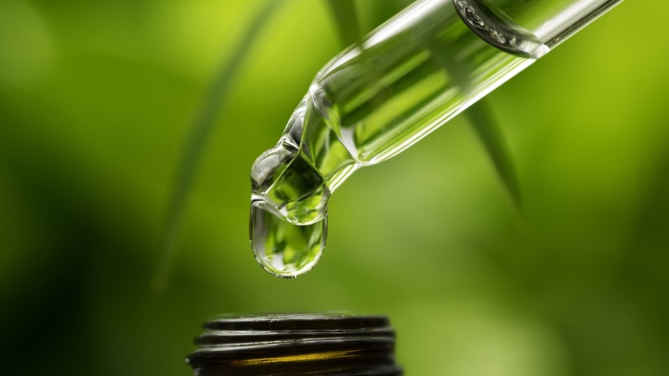 Kushy CBD