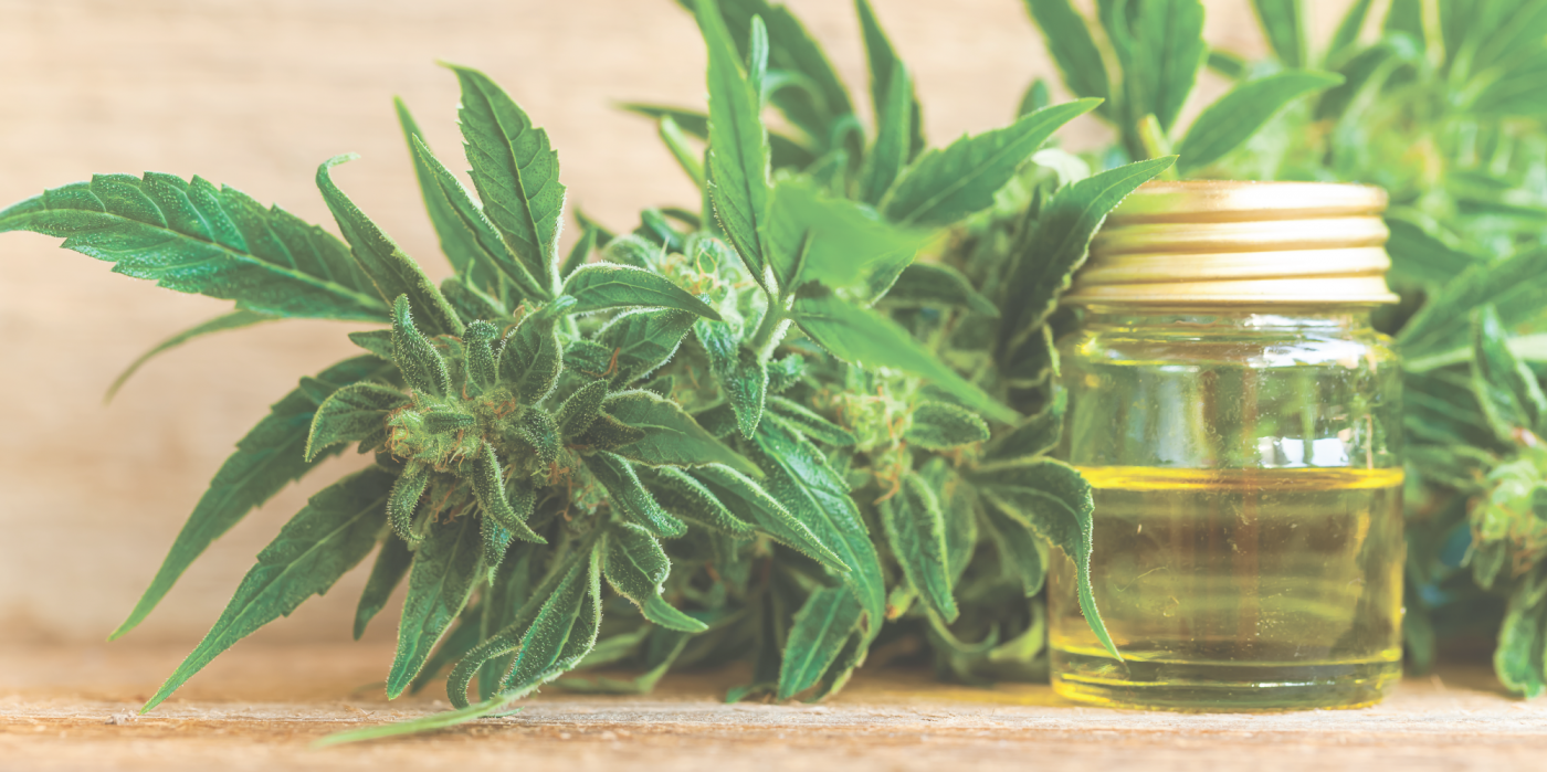 Kushy CBD